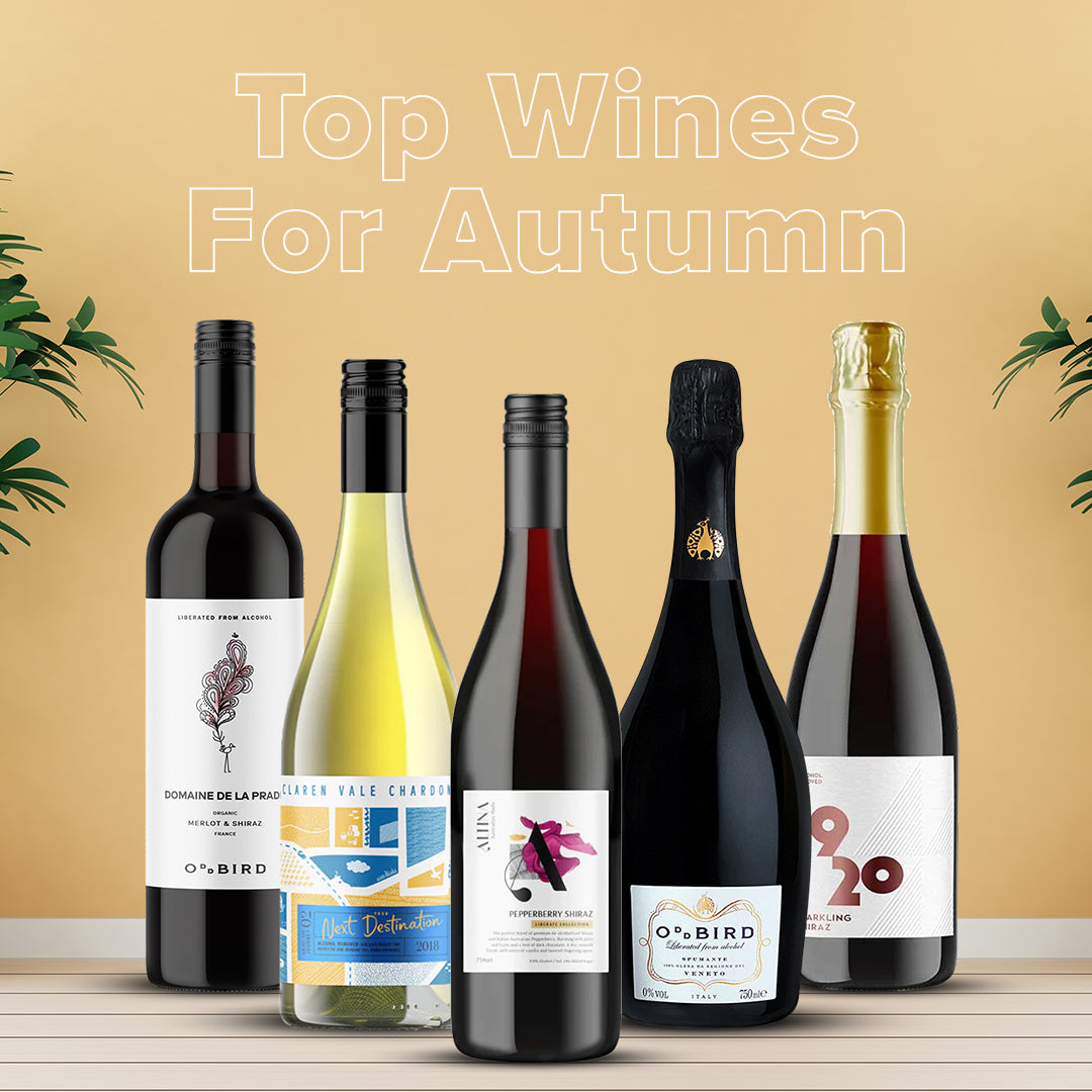 Top Wines For Autumn - Craftzero