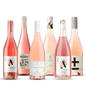 Rose Radiance: Premium Rose Collection (6 Pack) | Craftzero | Craftzero